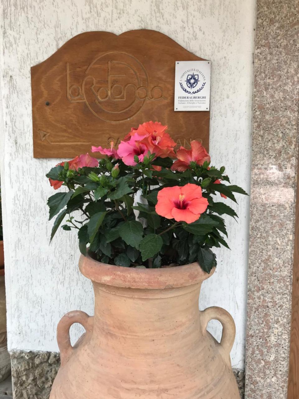 Cepagatti Hotel La Rotonda מראה חיצוני תמונה